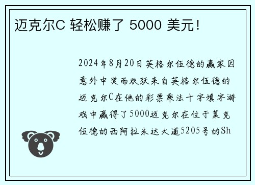 迈克尔C 轻松赚了 5000 美元！